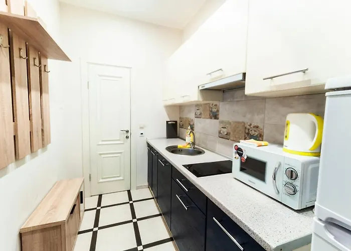 Apartment Wonderful Flat On Center Uzhhorod